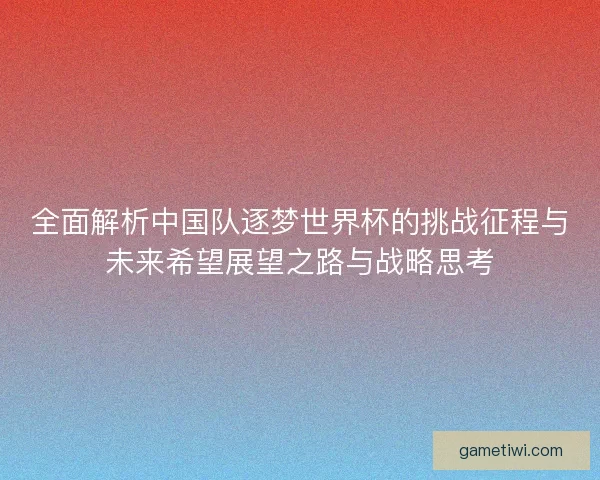 全面解析中国队逐梦世界杯的挑战征程与未来希望展望之路与战略思考